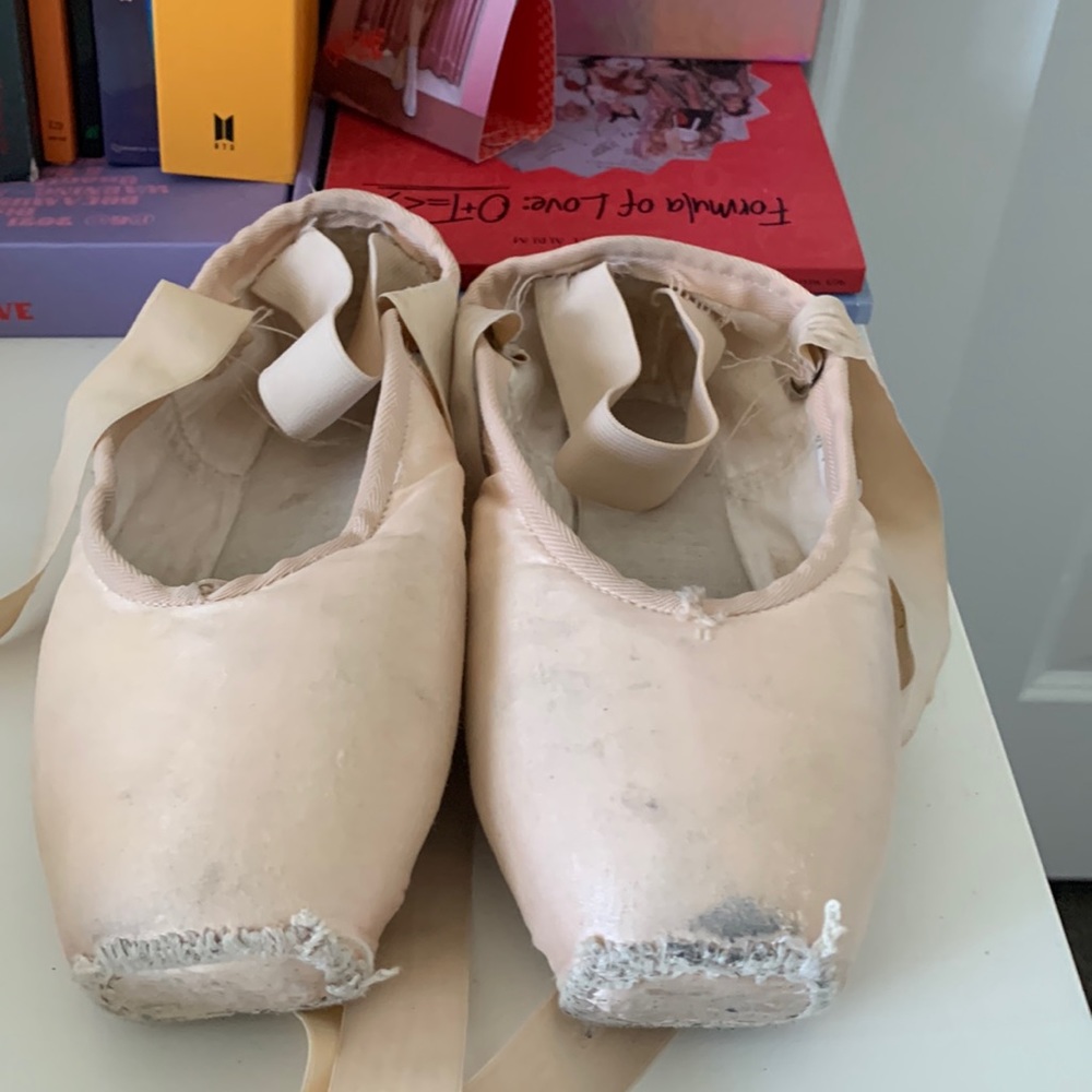 Nikolay pointe shoes nova
